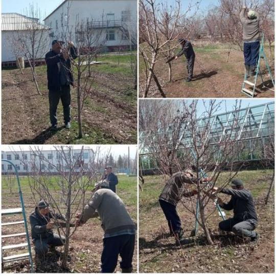 «Елді мекендерді абаттандыру, көгалдандыру және санитарлық тазалықты қамтамасыз ету»