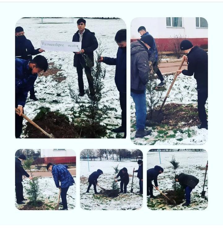 "Талмен бірге өсейік!" атты  көгалдандыру акциясы өткізілді.